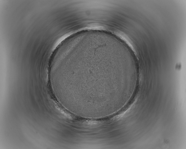 X0000091650829200709060957