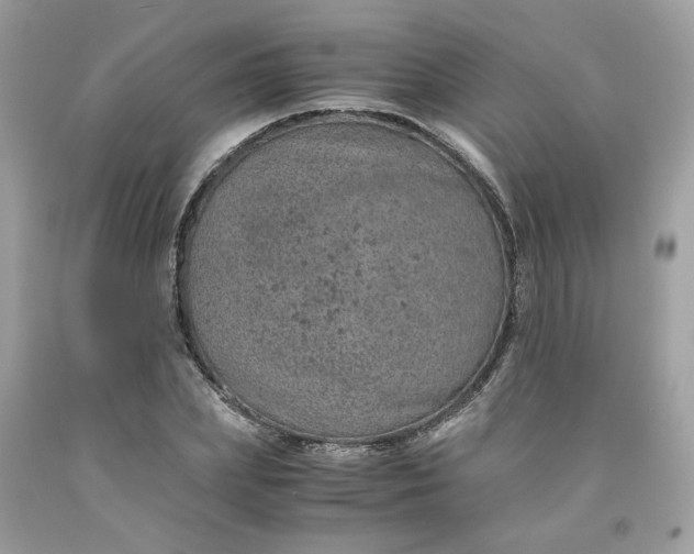 X0000091650831200709060957