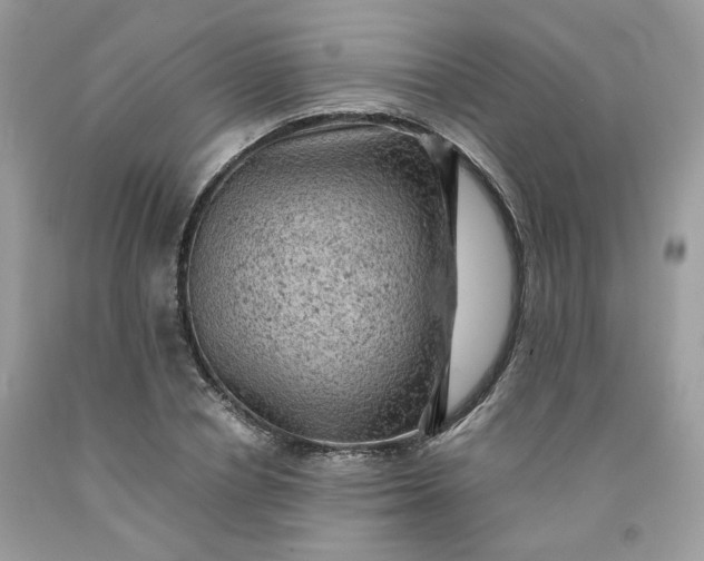 X0000091650834200709060957