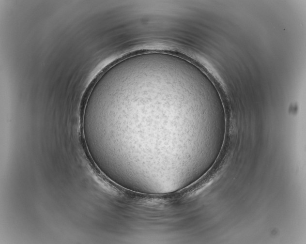 X0000091650837200709060957