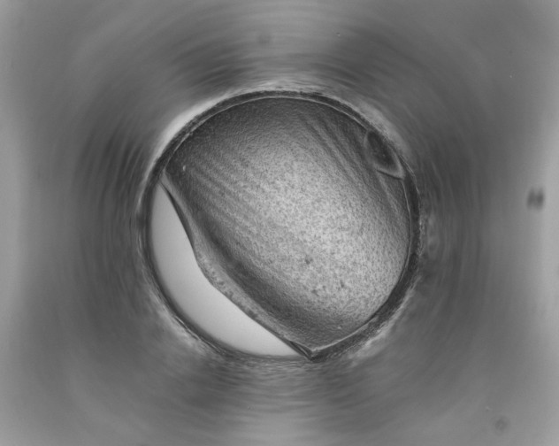 X0000091650838200709060957