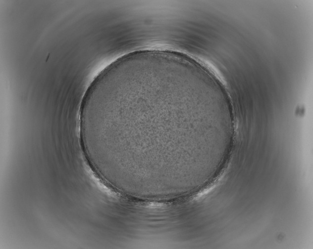 X0000091650839200709060957