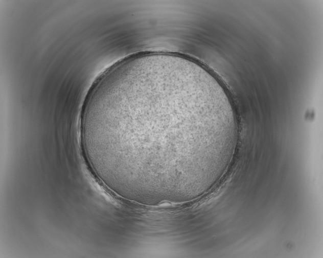 X0000091650840200709060957