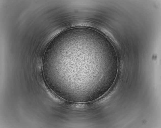 X0000091650841200709060957