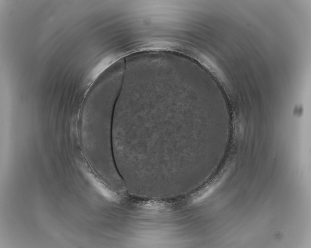 X0000091650842200709060957