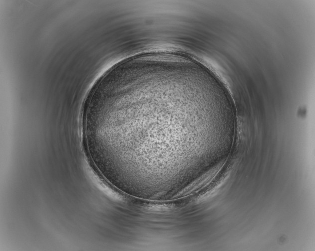 X0000091650843200709060957