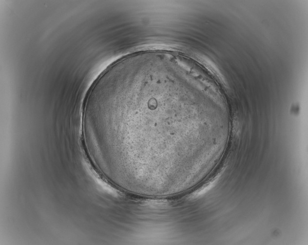 X0000091650844200709060957