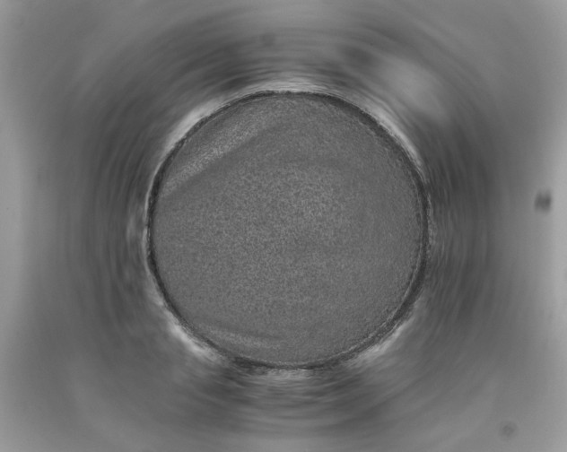 X0000091650845200709060957