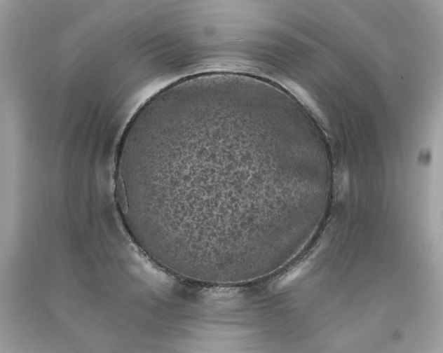 X0000091650846200709060957