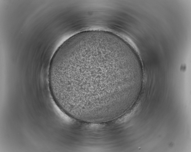 X0000091650847200709060957