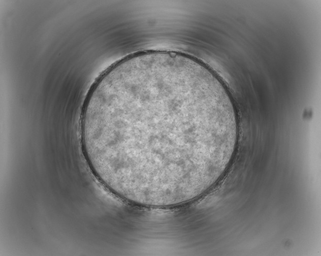 X0000091650848200709060957