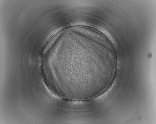 X0000091650849200709060957