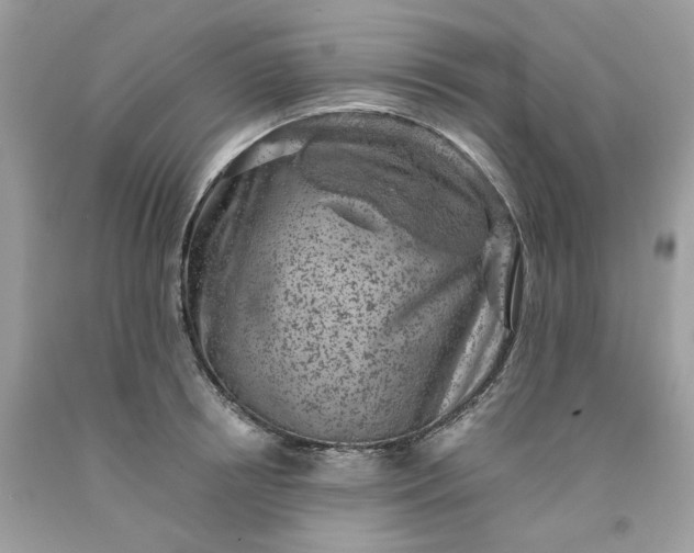 X0000091650850200709060957