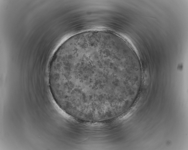 X0000091650851200709060957