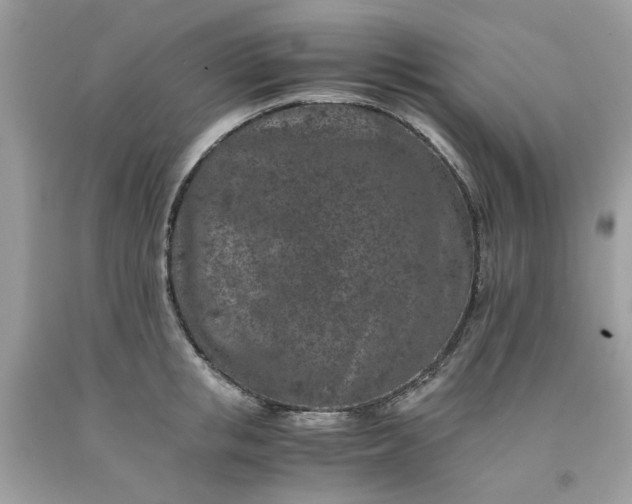 X0000091650853200709060957