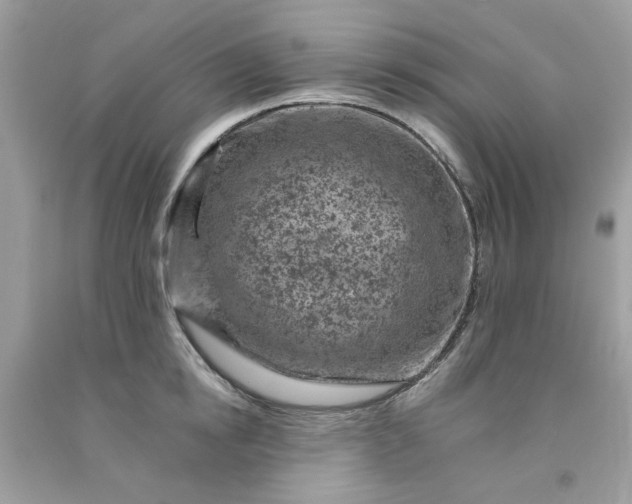 X0000091650854200709060957