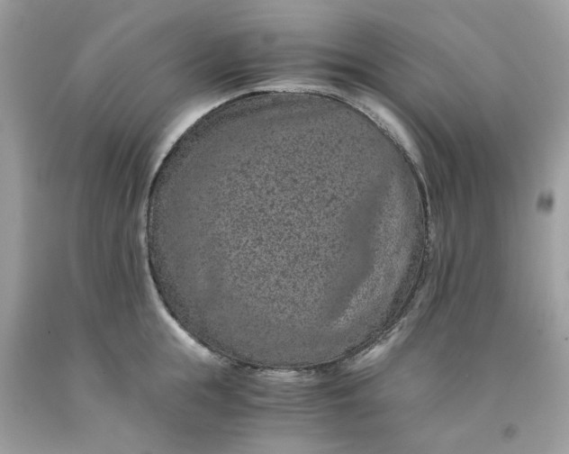 X0000091650855200709060957