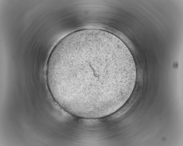 X0000091650856200709060957