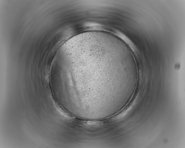 X0000091650857200709060957