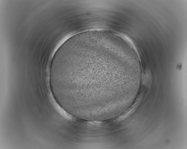 X0000091650859200709060957