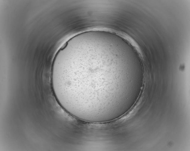 X0000091650860200709060957