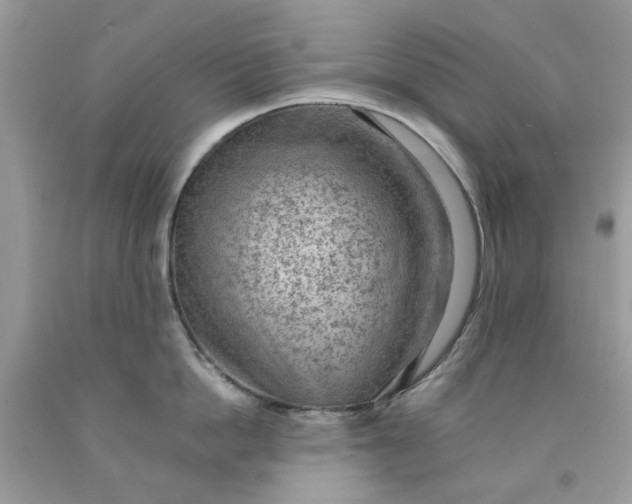 X0000091650862200709060957