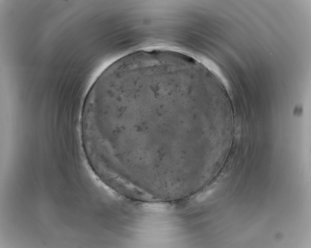 X0000091650863200709060957