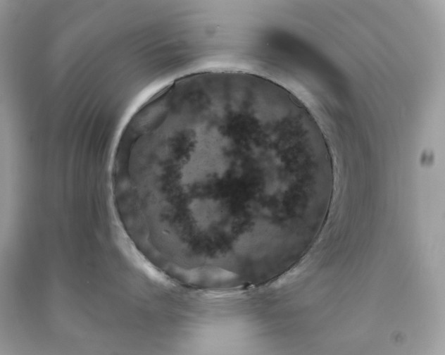 X0000091650864200709060957