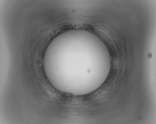 X0000091650865200709060957