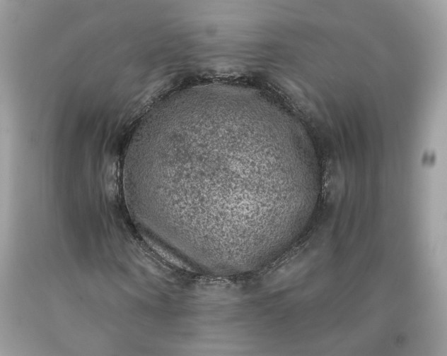 X0000091650866200709060957