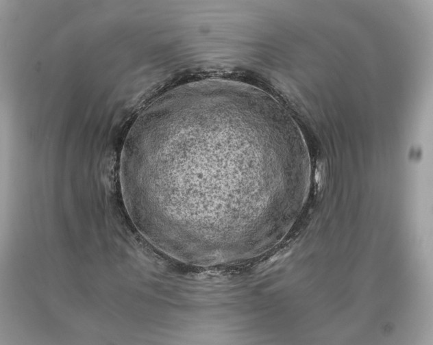 X0000091650867200709060957