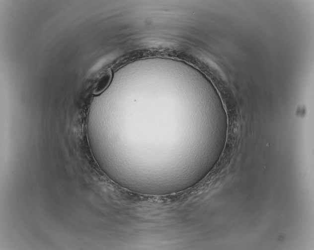 X0000091650869200709060957