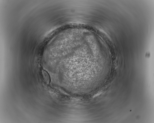 X0000091650870200709060957