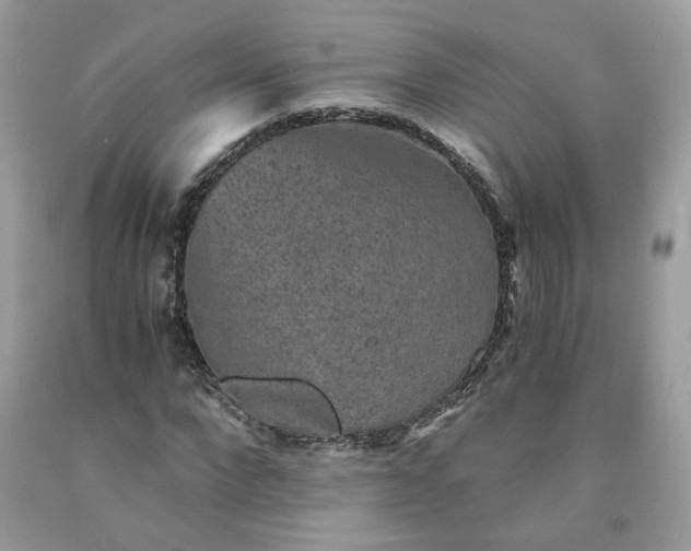 X0000091650872200709060957