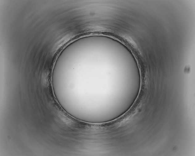 X0000091650873200709060957