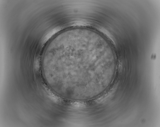 X0000091650874200709060957