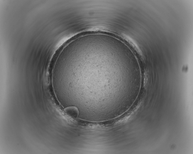 X0000091650876200709060957