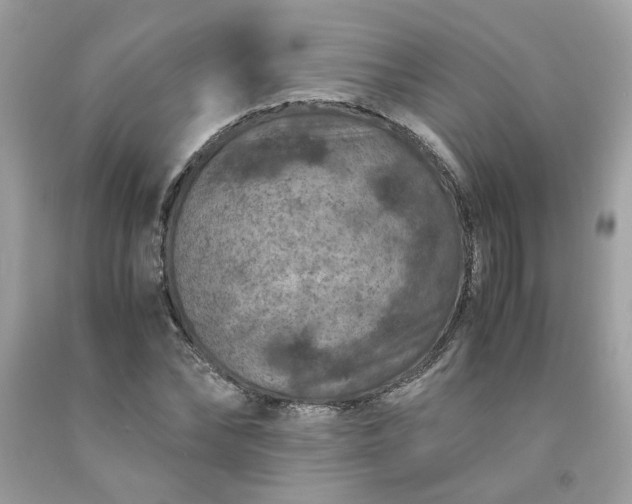 X0000091650878200709060957