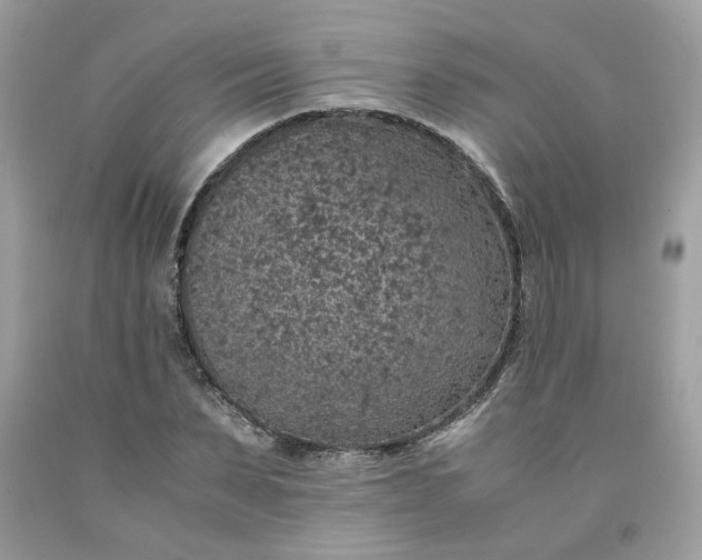 X0000091650879200709060957