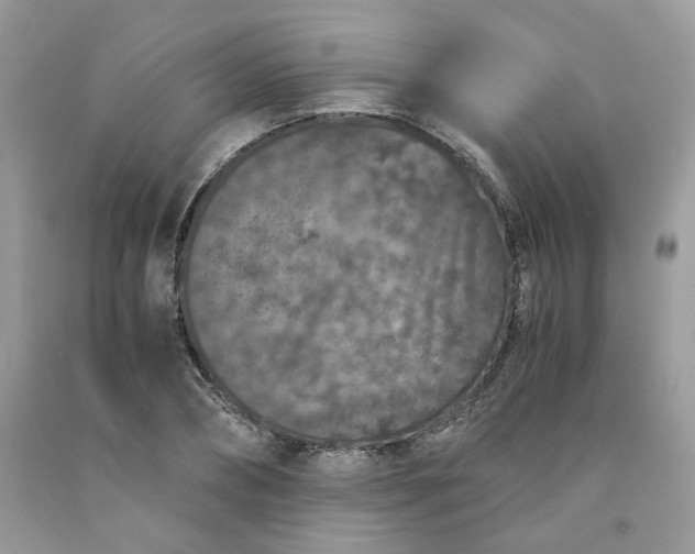 X0000091650882200709060956