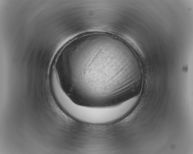 X0000091650884200709060956