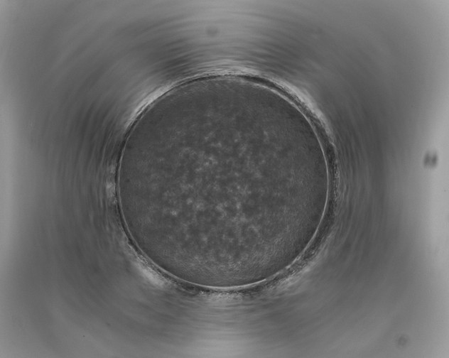 X0000091650889200709060956