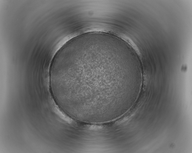 X0000091650890200709060956