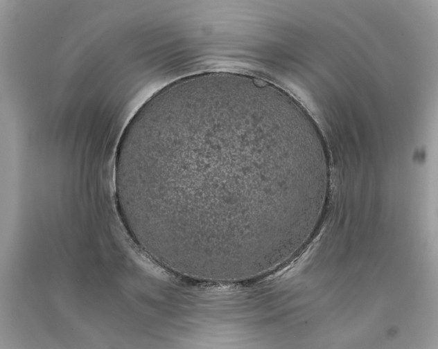 X0000091650891200709060956