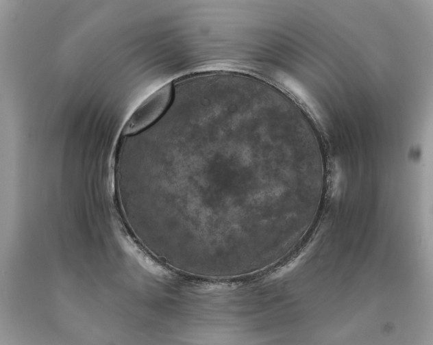 X0000091650892200709060956