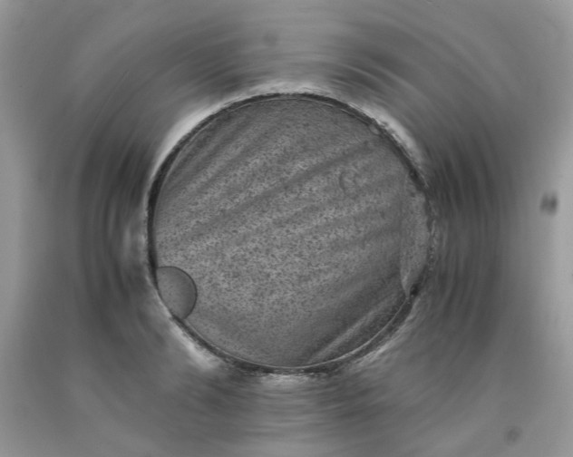 X0000091650894200709060956