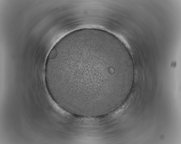 X0000091650895200709060956