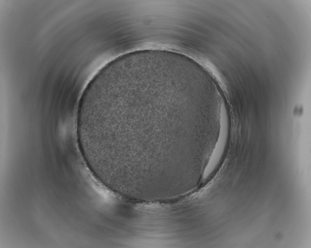 X0000091650896200709060956