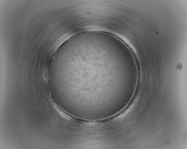 X0000091650897200709060956