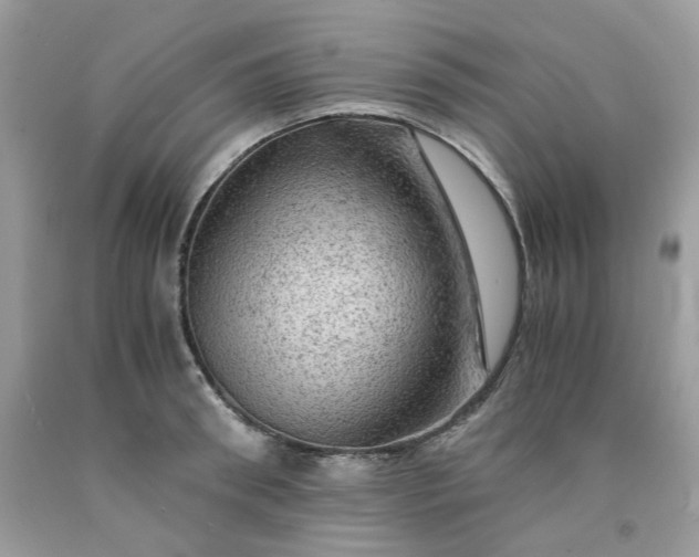 X0000091650898200709060956